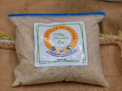 Govt. launches new bio-fortified to boost Guyana’s rice sector in 2024