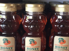 Guyana inks MoU with Cuba as it eyes production of mangrove, citrus honey