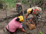 Over 30,000 Amerindians reaping benefits of UN-funded projects for rural development, climate resilience