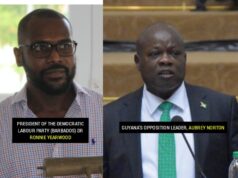 Norton, Bajan politician slam Prime Ministers Mottley and Gonsalves for “neutral stance”, failing to condemn Venezuela’s referendum