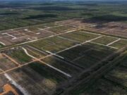 More than 5000 ECD allottees to gain access to lands by end of 2023