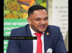 Natural Resources Minister advocates for innovative climate strategies for SIDS at UN ‘Blue Talks’