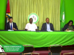 Opposition slams govt. for blackout crisis; says all renewable energy options must be explored