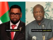 Norton rules out joint economic planning with PPP/C, cites lack of consensus