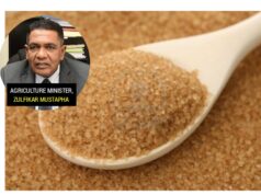 Sugar making a come back with 28% increase in production recorded for 2023- Minister Mustapha