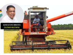 Rice cultivation to exceed 710,000 tonnes by year-end- Min. Mustapha