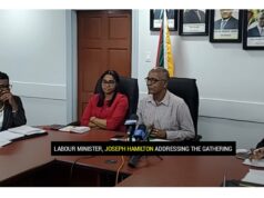 Labour Minister attributes high unemployment figure to citizens only pursuing “dream jobs jobs”