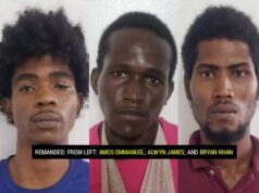 Trio remanded on break and enter, larceny, gun & ammo charges