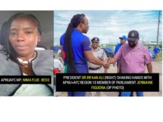 Punishment for handshake with Pres. Ali? Norton removes Figueira from sport/ youth portfolio