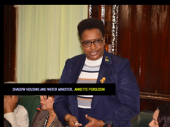 MP Ferguson inconsistent on house lot backlog inherited by Coalition in 2015