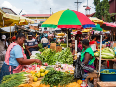 Collective action must be taken to ensure region is food secure – Min. Mustapha