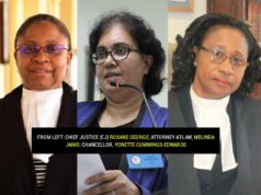 Constitutional process to confirm Chief Justice, Chancellor belongs in dustbin- Lawyer