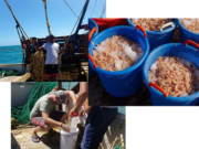 EITI urges Guyana to implement Inland Fisheries Policy