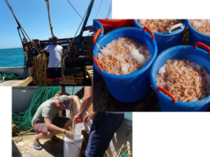 EITI urges Guyana to implement Inland Fisheries Policy