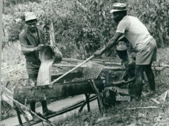 A look into Guyana’s pre-oil triumph with the gold mining industry