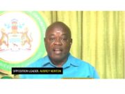 Norton accuses govt. of scrapping NRF Macroeconomic Committee to pave way for unchecked spending