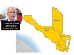 Exxon hunting for two major discoveries for standalone projects says gas exploration on the cards