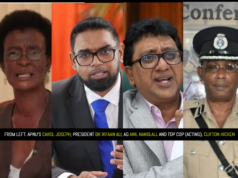 CJ dismisses challenge to President’s Top Cop service extension