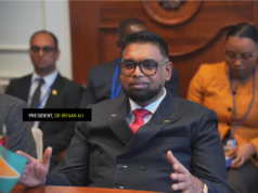 Pres. Ali calls for more investments in agri-tech, eco-tourism, other sectors during CELAC Summit