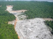 Infrastructure works progressing at new Five Miles Housing Scheme, Bartica