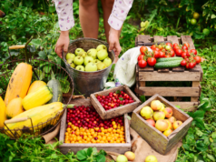 Newrest Guyana seeking suppliers of local and imported fresh fruits and vegetables