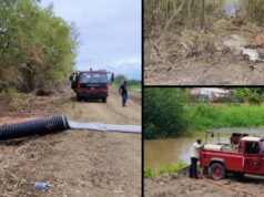 Week-long Woodley Park, mangrove fires extinguished