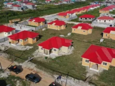 Construction of first 100 young professional homes to begin soon at Palmyra