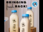 ‘There’s no better time to invest in Guyana’s agri. sector’ – CEO of Amaya Milk Company