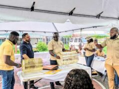 150 blocks awarded following medium scale mining lottery