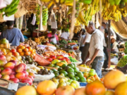 Govt. working to “have the most competitive non-oil economy”- Pres. Ali