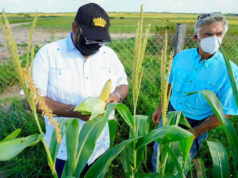 Guyana will save over $150M on crop imports by end of 2025 – Pres. Ali