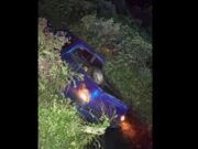 Driver flees scene after fatally hitting pedestrian