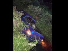 Driver flees scene after fatally hitting pedestrian