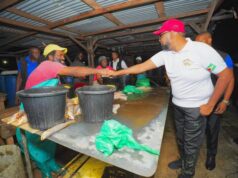 Gov’t to invest additional $50M to develop Meadow Bank Wharf