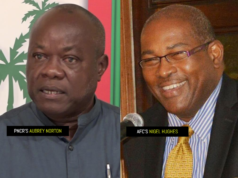 We will not concede presidential candidate to someone who just flew off tree top – Norton