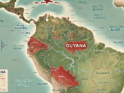 IDB Lab launches initiatives to boost bioeconomy in Guyana, other parts of Amazon region