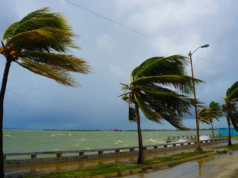 World Bank Group, MF pledge to help countries scale up response to climate change