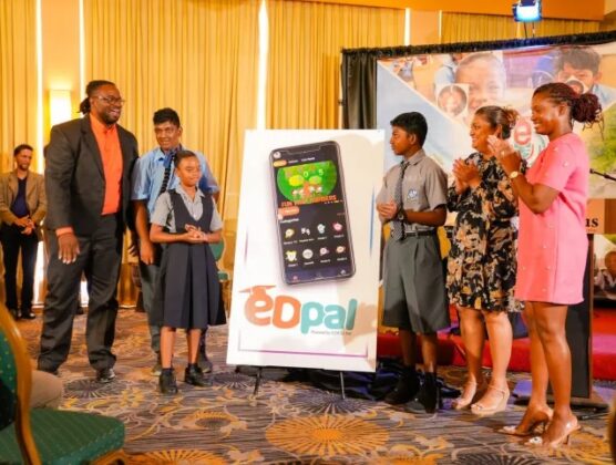 MOE’s EdPal app sees promising growth with 2,200 active users, to ...