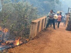 The year 5,000 square miles of Guyana’s land burned