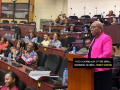 Small Business Bureau, Procurement Commission host workshop with 100 stakeholders