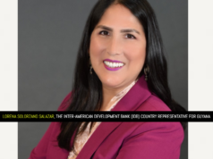 Guyana ensuring rapid economic growth translates to better quality of life for citizens-IDB official