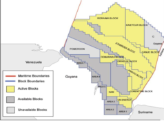 Eight firms submit bids for 3D seismic study offshore Guyana