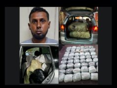 Taxi Driver busted with 257lbs of marijuana jailed, fined $104M