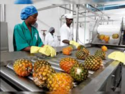 ActionINVEST, GMSA collaborate to empower agro-processing members through bankability fund for women