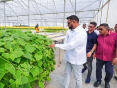 Agricultural and Innovation Entrepreneurship Programme to be expanded-Pres. Ali