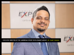 Caribbean’s green economy transition will require US $16.1 billion by 2040- CEDA Director