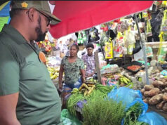 Eddoe, sweet potato scarce and expensive -Vendors tell Pres. Ali