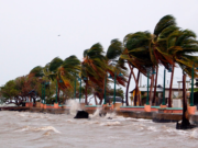 CDB secures US$50M credit facility from French agency to help region with climate adaptation measures