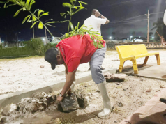 National forest restoration initiative advances with over 2,500 trees planted