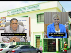 Probe into “irregularities” at Guyana Marketing Corporation ongoing – Agri. Ministry